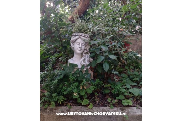 Bukovac – photo 20