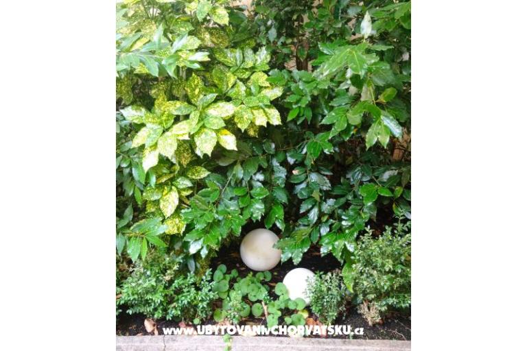 Bukovac – photo 24