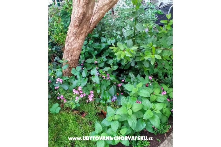 Bukovac – photo 25