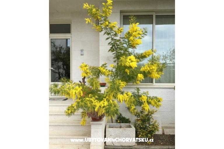 House Grazia – photo 7