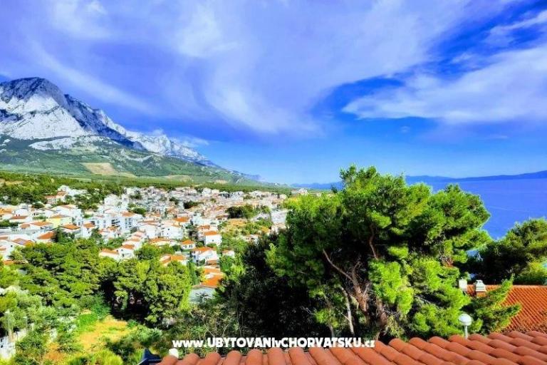 APARTMANI Saric K – photo 19
