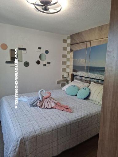  SARIC – photo 54