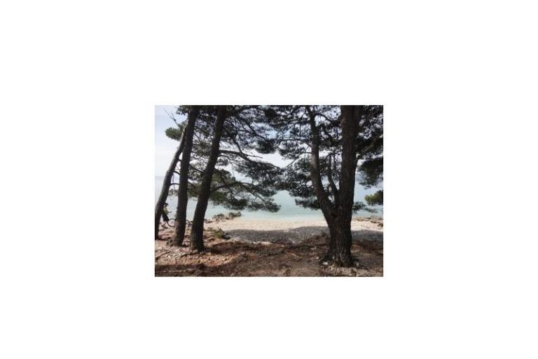 Resort &amp; Spa Baško Polje – photo 18