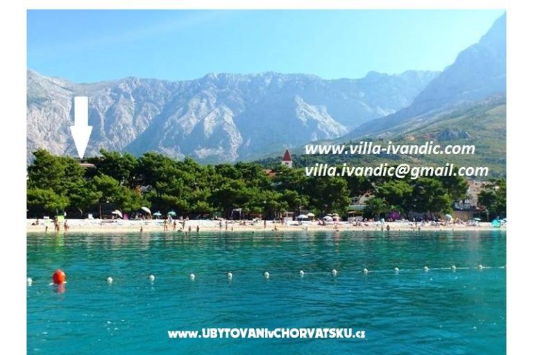 Vila Ivandic Promajna – photo 10