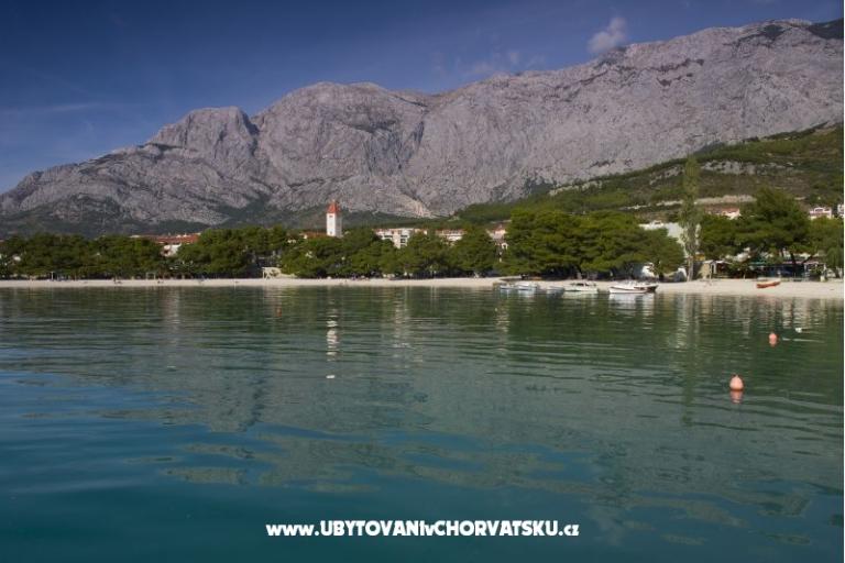 Vila Ivandic Promajna – photo 15