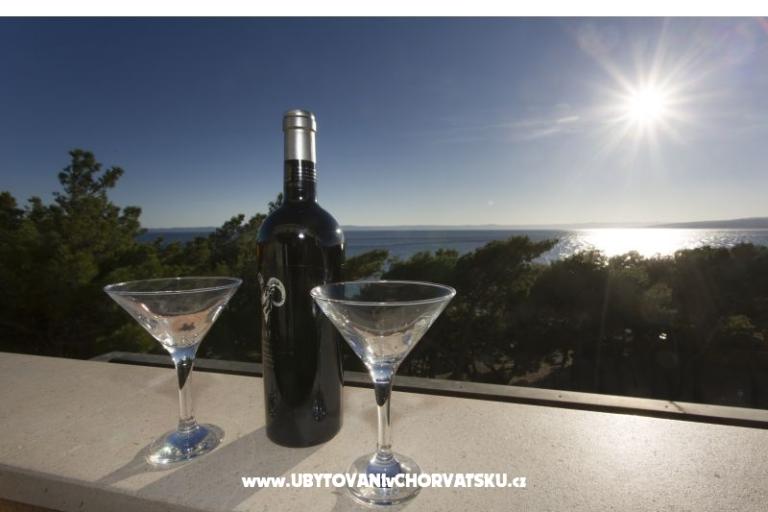 Vila Ivandic Promajna – photo 17