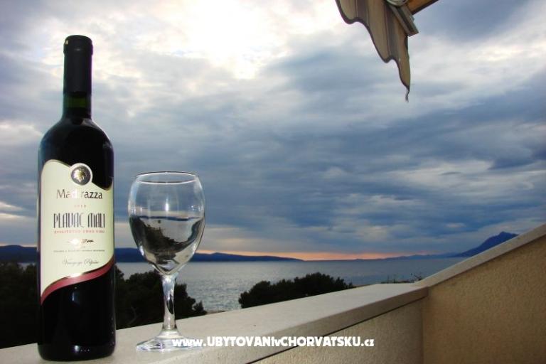 Vila Ivandic Promajna – photo 4