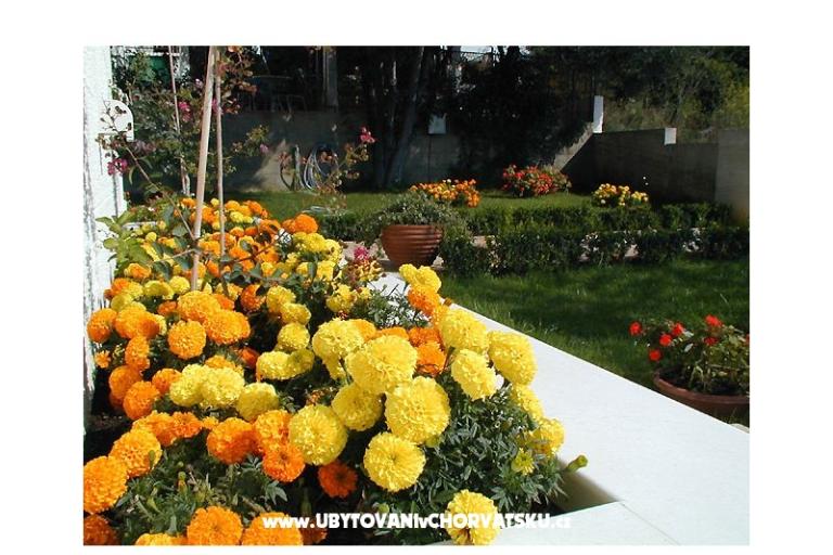 Villa Ana – photo 9