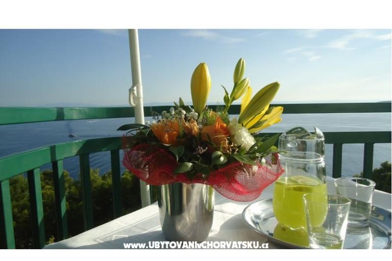 Villa Izabela – photo 6