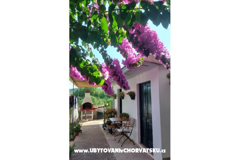 Apartments Ježina – photo 19