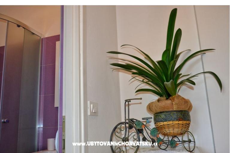 Aparatmani Adrian – photo 12