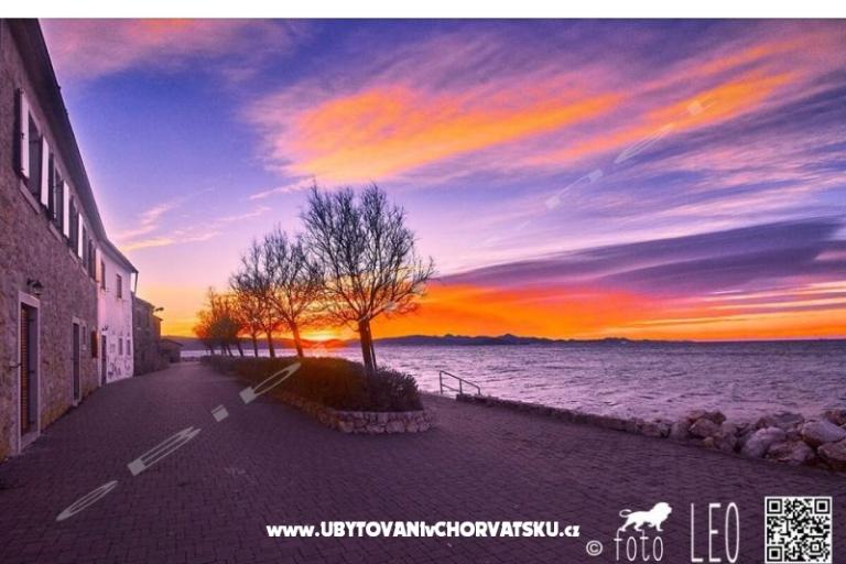 Aparatmani Adrian – photo 15