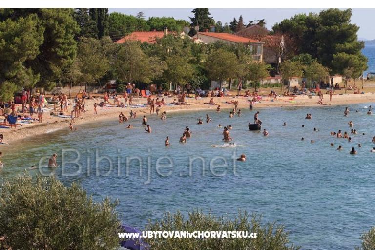 Aparatmani Adrian – photo 17