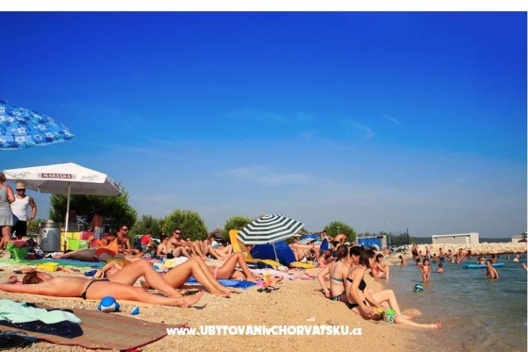 Apartments Lisica – photo 9