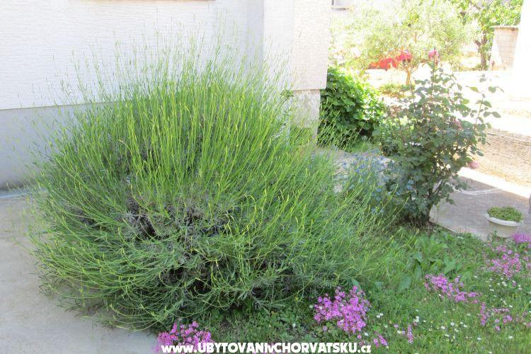 Apartment Dara – photo 14