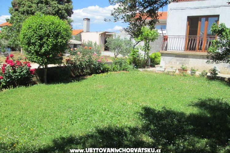 Apartment Dara – photo 15