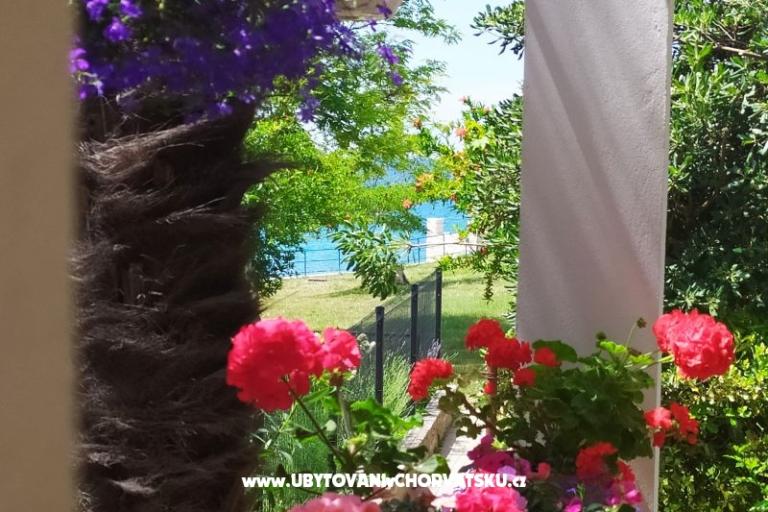 Apartments i sobe Sandra – photo 14