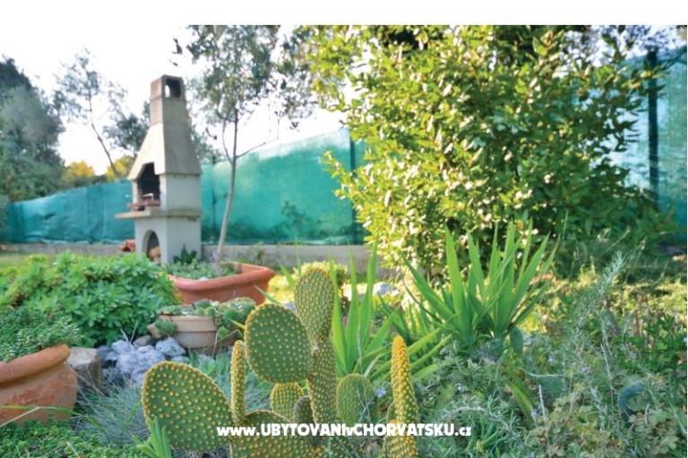 Apartments Marija – photo 16