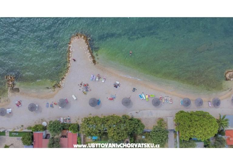 Apartments  Maslina – photo 3