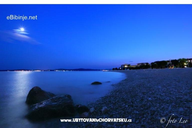 Apartments Šimunić Punta – photo 18