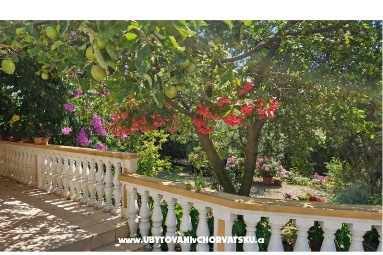 Apartment Mara – photo 17