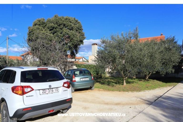Apartments Ana – photo 10