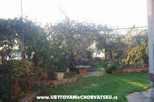 Apartments and House Spika – photo 5