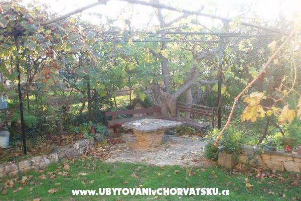 Apartments and House Spika – photo 6