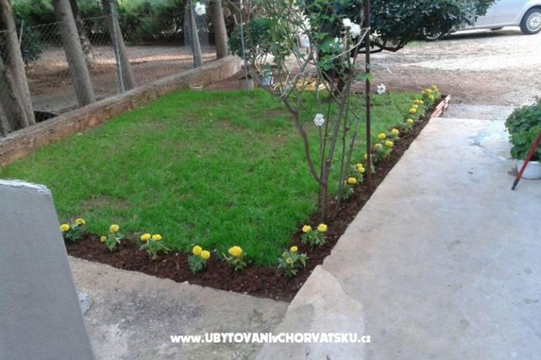 Apartments Gaga  – photo 2