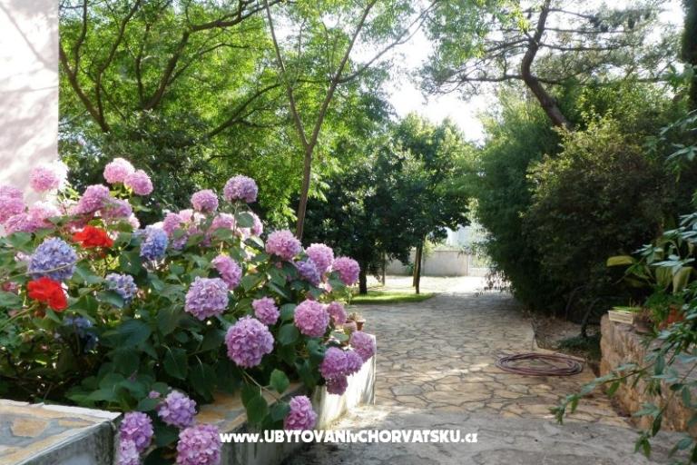 Apartments Lolinka Bibinje – photo 12