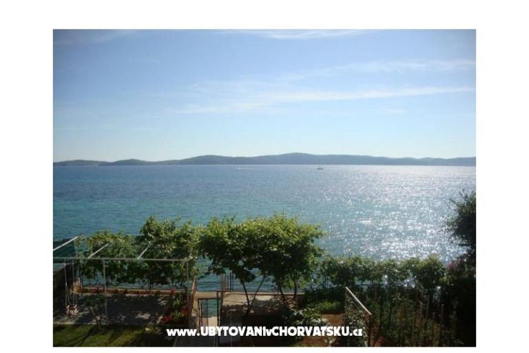 Ana-Maria – photo 7