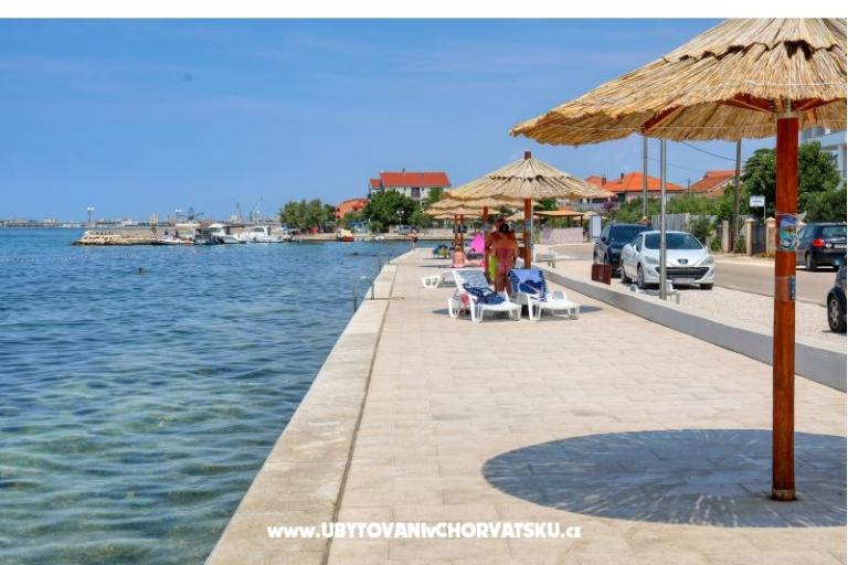 Bella's Home – photo 13