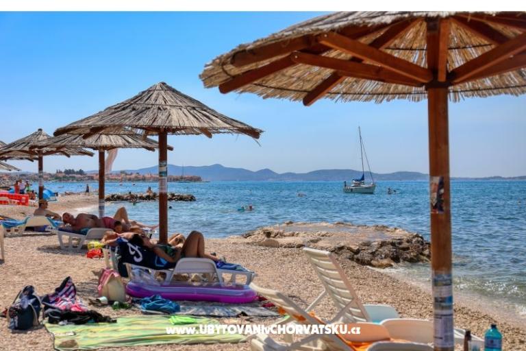 Bella's Home – photo 15