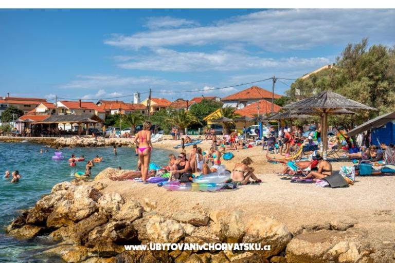 Bella's Home – photo 16