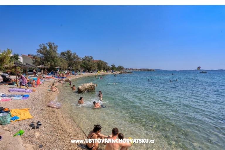 Bella's Home – photo 18