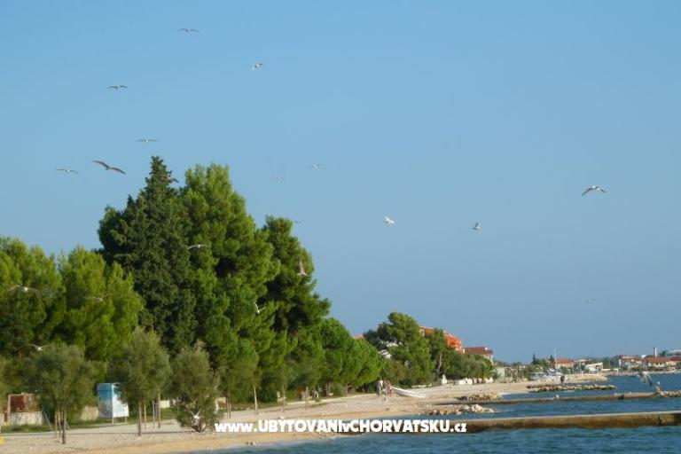 Bibinje Apartments – photo 11