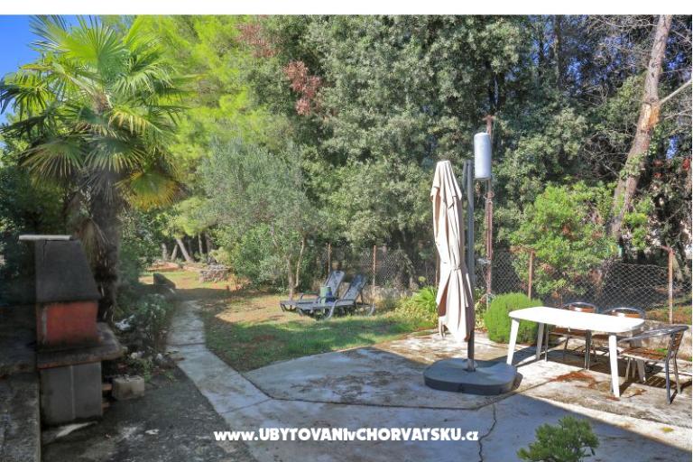 Casa Nostra – photo 8