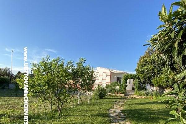 Emanuel Apartments – photo 9