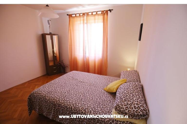 Large garden – photo 7