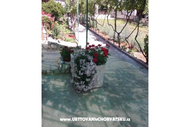 Apartments Ante Sladić – photo 16