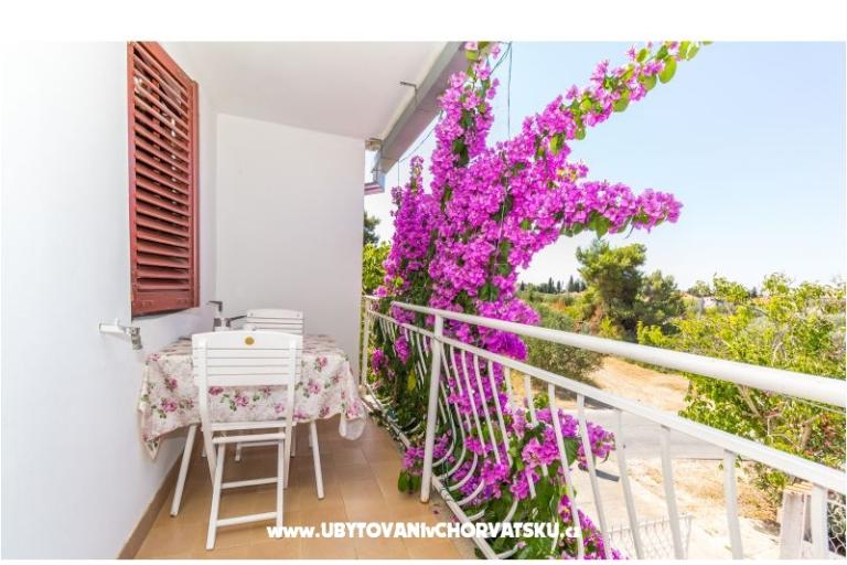 Apartments Ana – photo 6