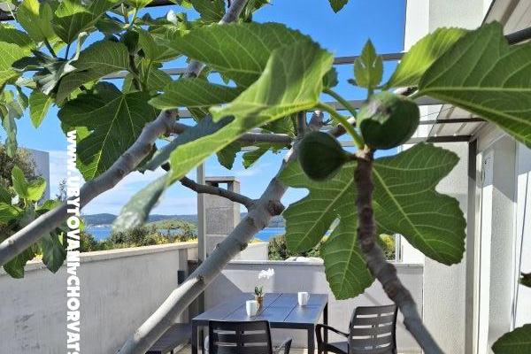 Villa D&amp;J – photo 6