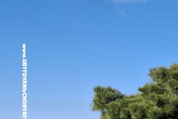 Villa D&amp;J – photo 7