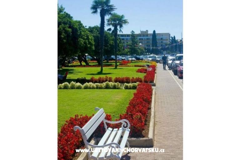 Apartments Endi – photo 4