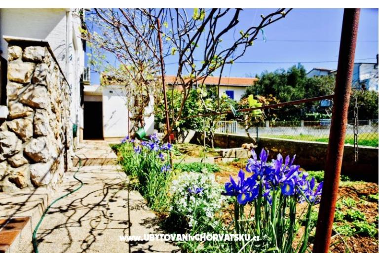 Apartments Grcić – photo 14