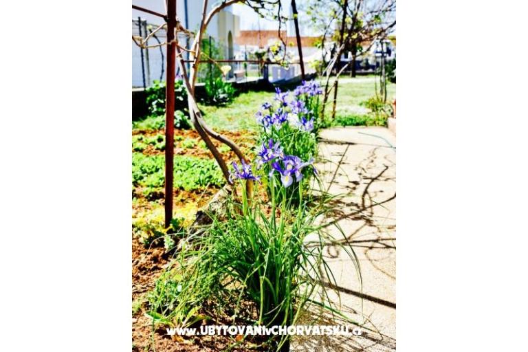 Apartments Grcić – photo 15