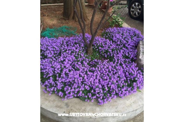 Apartments Jurov – photo 11