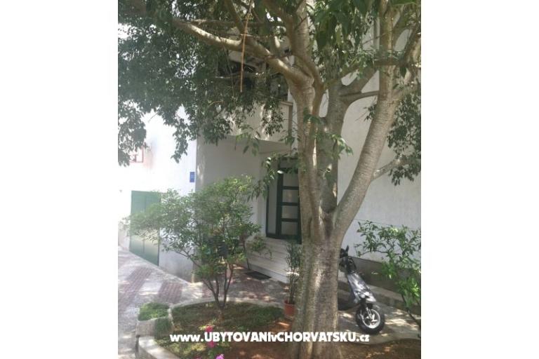 Apartments Jurov – photo 9