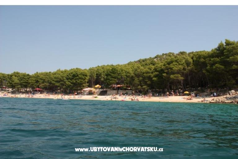 Apartments KIKO - Drage – photo 14