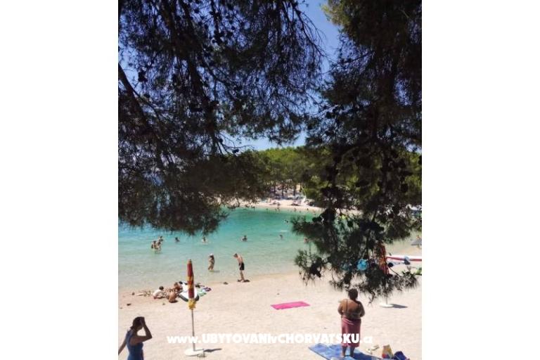 Apartments KIKO - Drage – photo 20